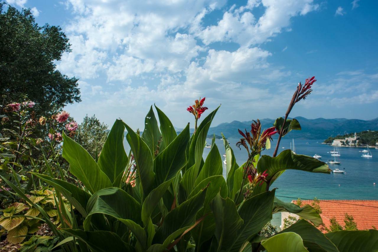 Boutique Hotel Tomic Lopud Exterior photo